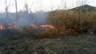 فیلم /  آتش‌سوزی هولناک در مزرعه‌ای در  لنگرود