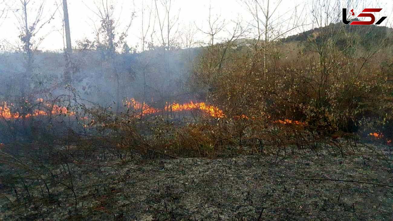 فیلم /  آتش‌سوزی هولناک در مزرعه‌ای در  لنگرود