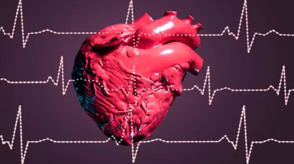 ترمیم بافت آسیب دیده قلب پس از سکته + فیلم