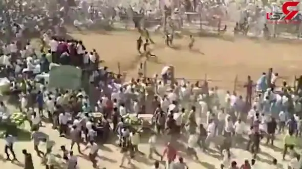 حمله گاو وحشی به یک مراسم مذهبی+فیلم