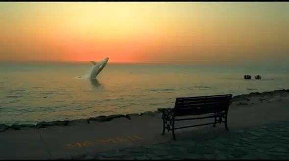 پشت پرده نهنگی که به ساحل بوشهر پرید + فیلم