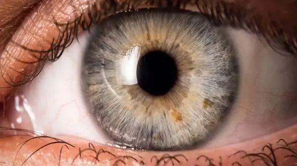 تحولی در بازار لنزهای رنگی با رنگ‌ های اقیانوسی و کله‌ غازی