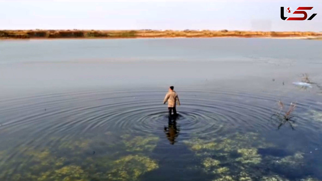 آنونس جدید فیلم سینمایی «دریاچه ماهی» +فیلم