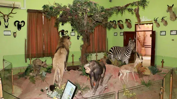 رایگان شدن موزه هفت‌ چنار و 2 شهربازی برای معلولان