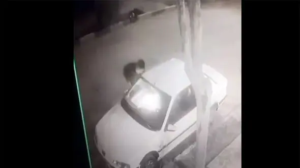 ببینید/ آتش زدن عمدی یک پژو پارس توسط افرادی ناشناس در دولت آباد + فیلم