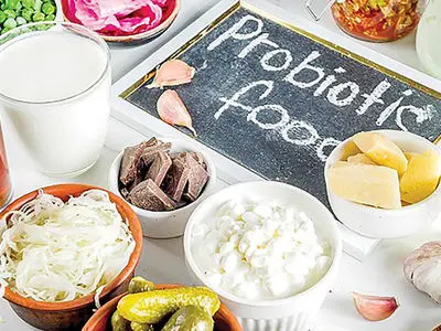 خبر خوب برای مبتلایان رفلاکس معده؛ نقش پروبیوتیک‌ ها در محافظت از سلامت دستگاه گوارش