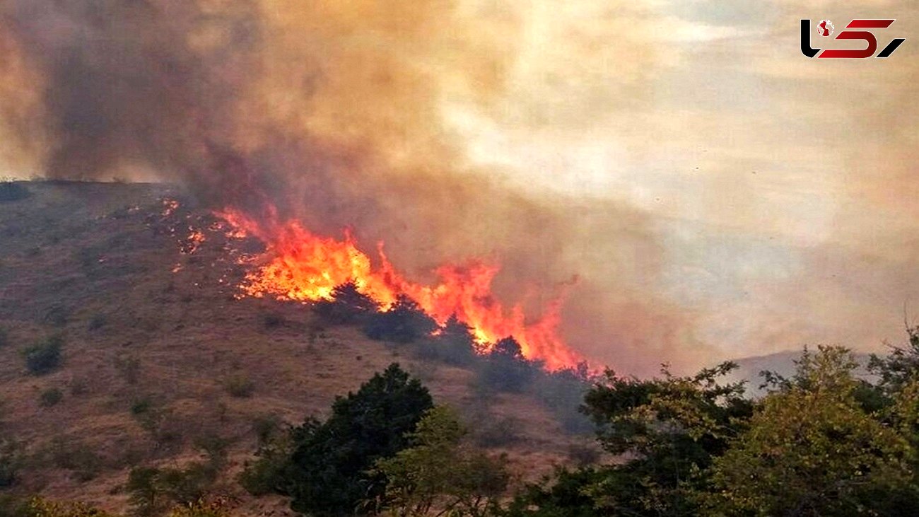 بالگرد به کردکوی رسید / آتش جنگل های گلستان همچنان شعله ور است + فیلم و عکس