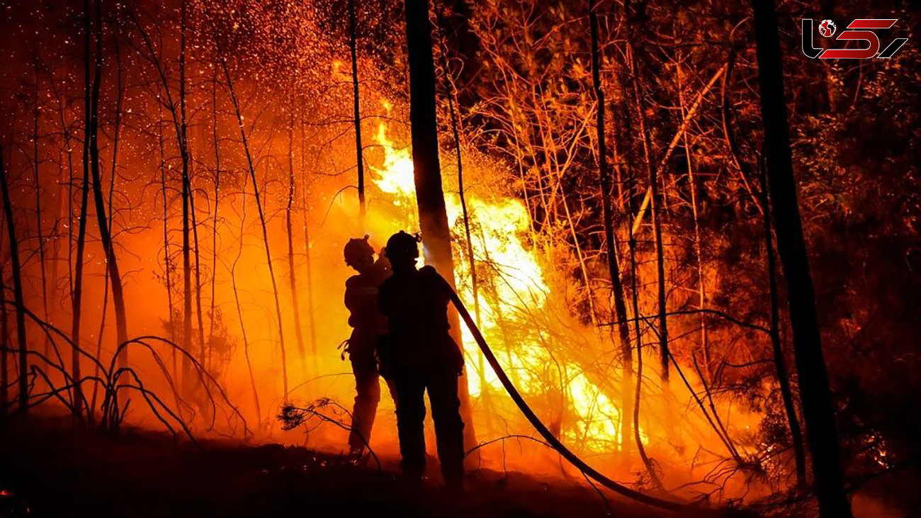 آتش سوزی بزرگ در جنگل فرانسه