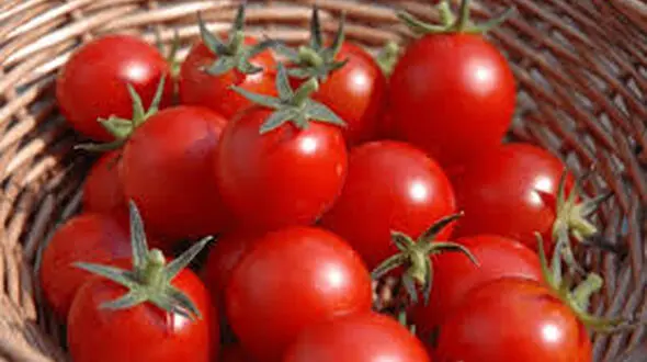 این 7 خوراکی شما را عصبی می‌کند!