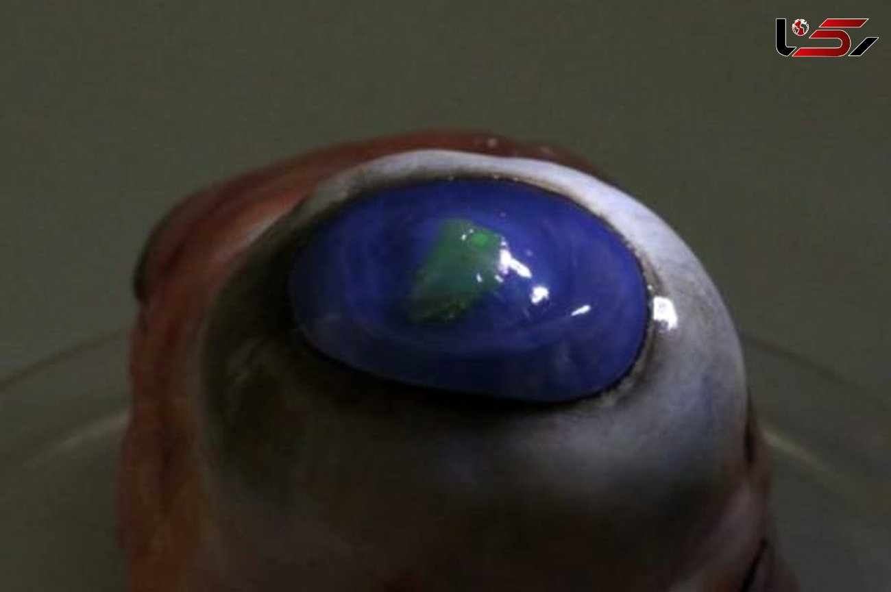 اسکناس تقلبی با این لنز چشمی قابل شناسایی است