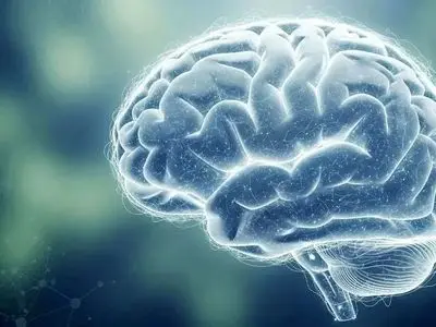 ارتباط جالب جذابیت بصری و تقویت سوخت مغزی