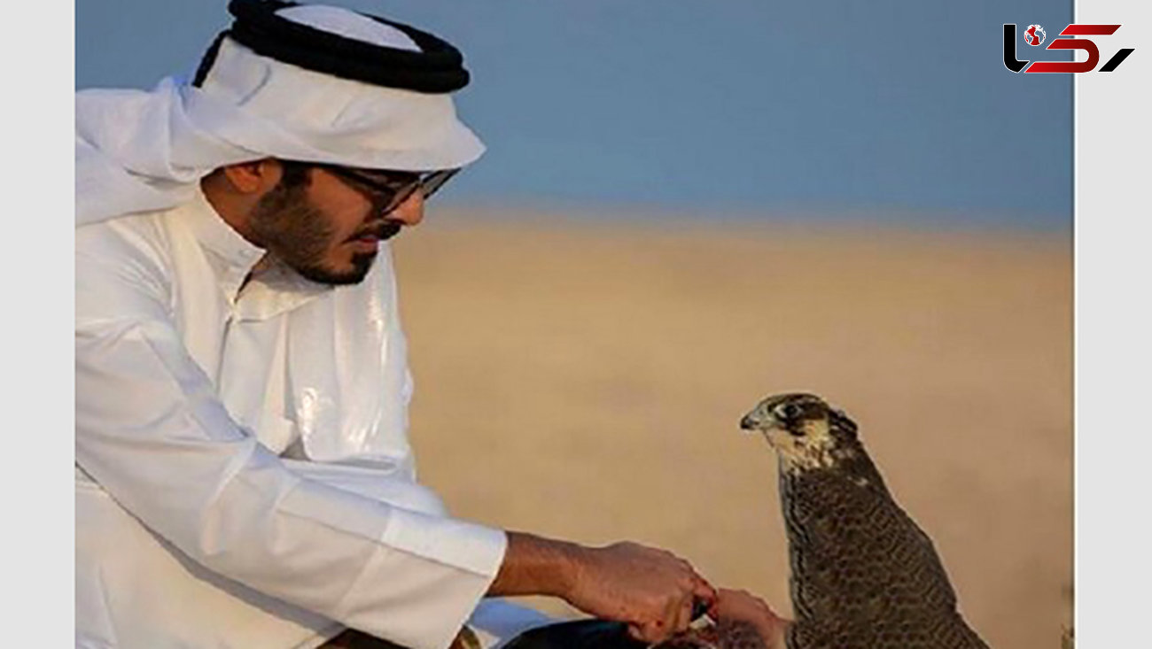 سفر تفریحی برادر امیر قطر به جزیره ابوموسی برای شکار  + عکس