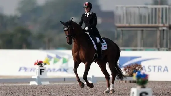 قطری‌ها دو اسب به سوارکاران ایرانی دادند!