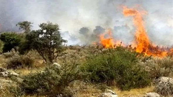 آتش‌سوزی کوه دراک شیراز پس از ۲۲ ساعت مهار شد