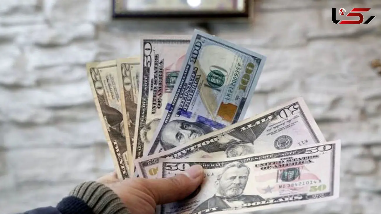 توقف معاملات دلار و یور در بازار متشکل ارز ایران تا اطلاع ثانوی + سند