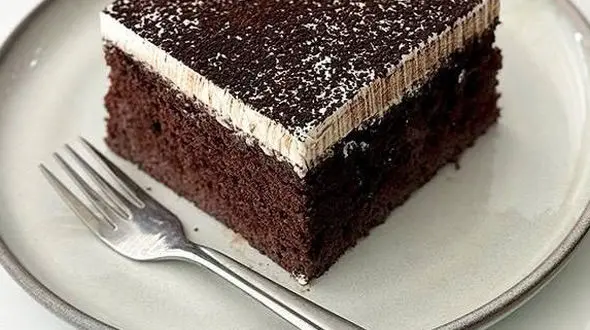 از کیک سه شیر شکلاتی تا یخمک خانگی با میوه های تازه