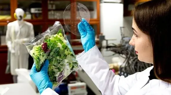 ساخت پلاستیک سازگار با محیط از میخک و نقره