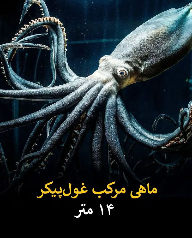دایناسورهای عظیم و برجسته