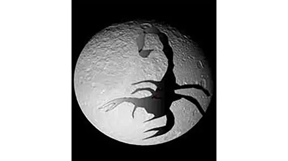 چند نمونه از انسان هایی که به حیوان تبدیل شدند + جزییات