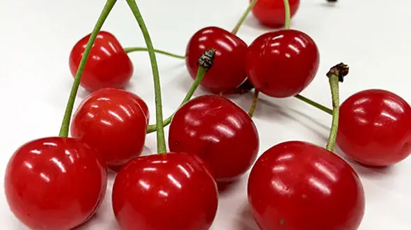 خواب راحت با خوردن آلبالو