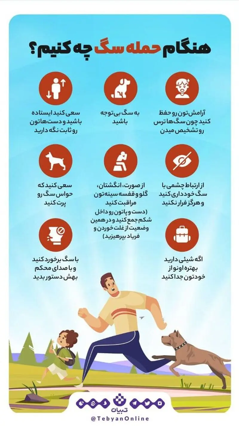 حمله سگ