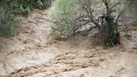 هشدار آب منطقه ای گیلان درباره احتمال سیلابی شدن رودخانه های استان