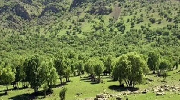 تیشه صنعت و معدن بر پیکر منابع طبیعی شمال خوزستان / دره برفی تازه‌ ترین قربانی کوه خواری در دزپارت