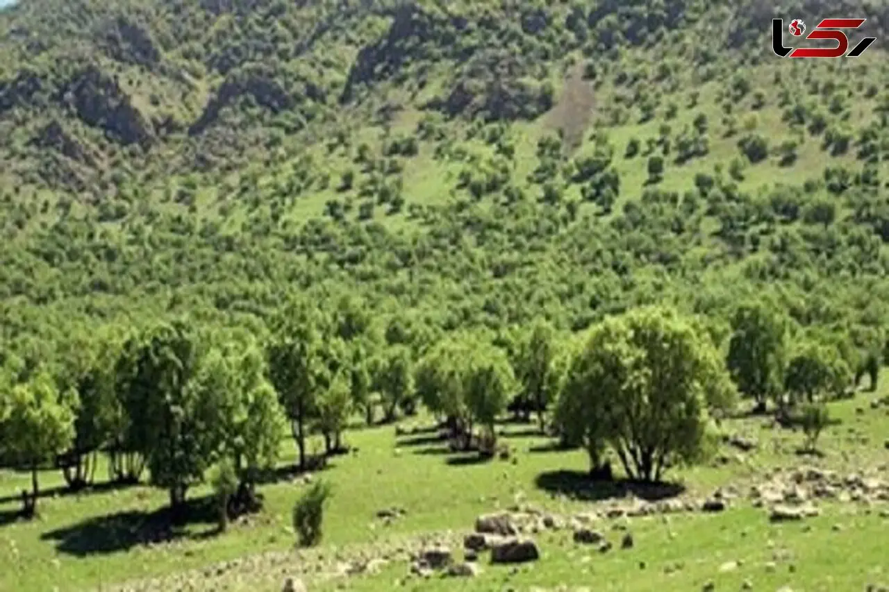 تیشه صنعت و معدن بر پیکر منابع طبیعی شمال خوزستان / دره برفی تازه‌ ترین قربانی کوه خواری در دزپارت