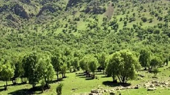 تیشه صنعت و معدن بر پیکر منابع طبیعی شمال خوزستان / دره برفی تازه‌ ترین قربانی کوه خواری در دزپارت