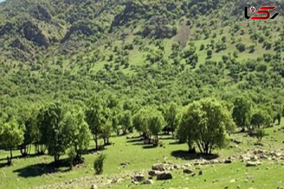 تیشه صنعت و معدن بر پیکر منابع طبیعی شمال خوزستان / دره برفی تازه‌ ترین قربانی کوه خواری در دزپارت