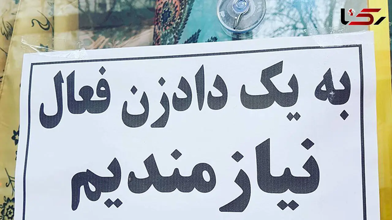 داد بزن؛ پول بگیر !
