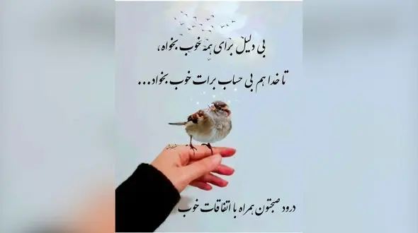 فال و طالع روزانه 26 اردیبهشت + فیلم 