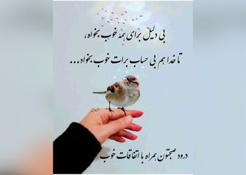 فال و طالع روزانه 26 اردیبهشت + فیلم 