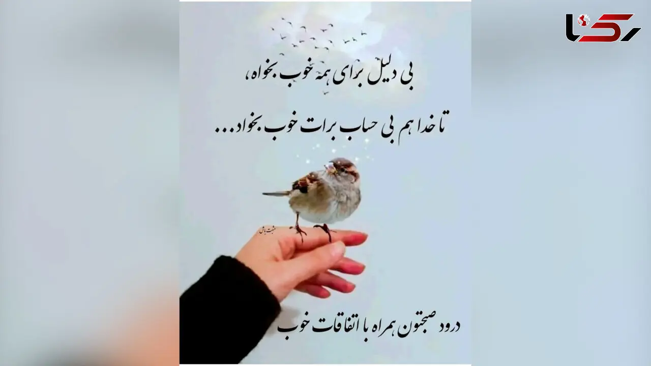 فال و طالع روزانه 26 اردیبهشت + فیلم 