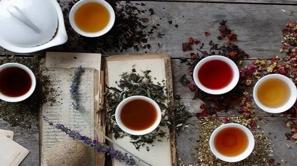 دم کرده های طبیعی برای درمان معده درد