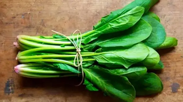 10 خوراکی تابستانی که به کاهش وزن شما کمک می‌ کنند