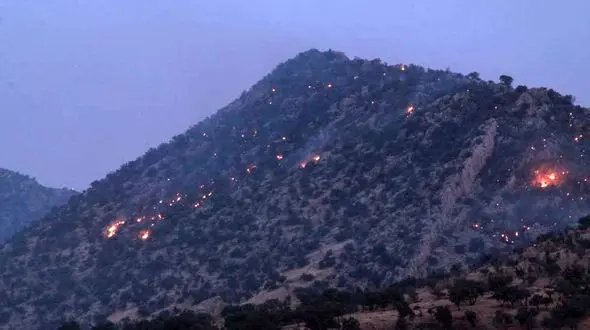 زاگرس همچنان می سوزد / بلوط ها در حال نابودی + فیلم