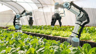 کره جنوبی ؛ ربات های هوشمند مزرعه به کمک کشاورزان می آید + عکس های جالب ربات