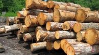 کشف 6 تن چوب قاچاق در بروجرد