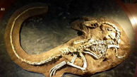 کشف جسد کامل یک دایناسور همه را شگفت زده کرد+عکس
