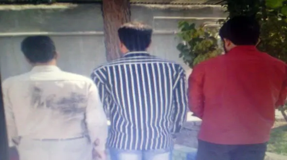 این ۳جوان دزد گوسفند بودند +عکس