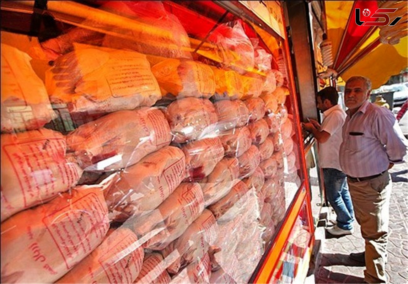 آخرین قیمت مرغ در بازار امروز