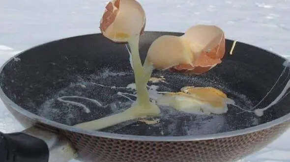 یخ زدن تخم مرغ در حال پختن در قطب جنوب
