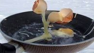 یخ زدن تخم مرغ در حال پختن در قطب جنوب
