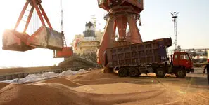 تأکید معاون نظارت و برنامه ریزی سازمان تعزیرات حکومتی بر نظارت دقیق واردات نهاده‌های دامی تا مرحله توزیع و مصرف