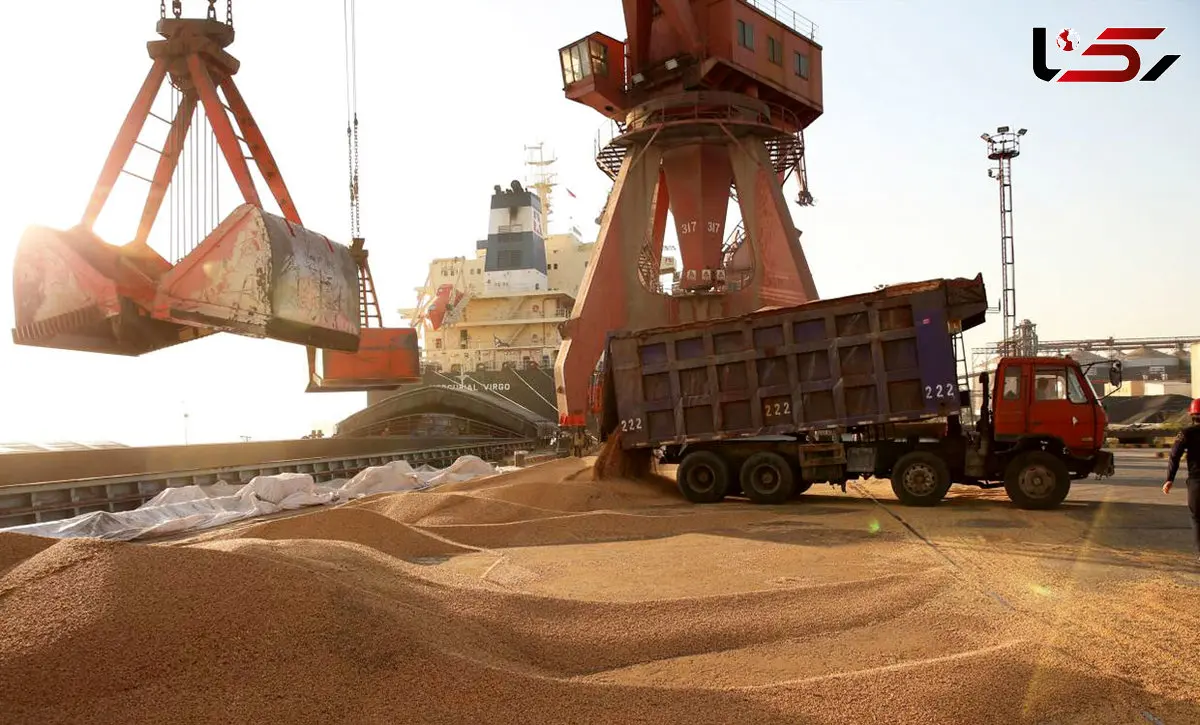 تأکید معاون نظارت و برنامه ریزی سازمان تعزیرات حکومتی بر نظارت دقیق واردات نهاده‌های دامی تا مرحله توزیع و مصرف