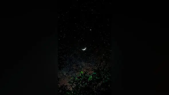 فال روزانه 23 خرداد ماه