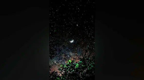 فال روزانه واقعی جمعه 9 خرداد 1404 