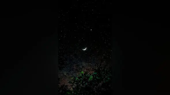 فال روزانه 23 خرداد ماه