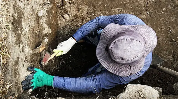  کشف گنج تاریخی در مجاورت بازار رضای مشهد / همه شوکه شدند